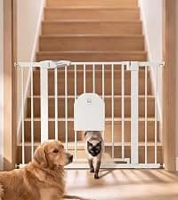Dog Gate with Adjustable Cat Door — collection imagery