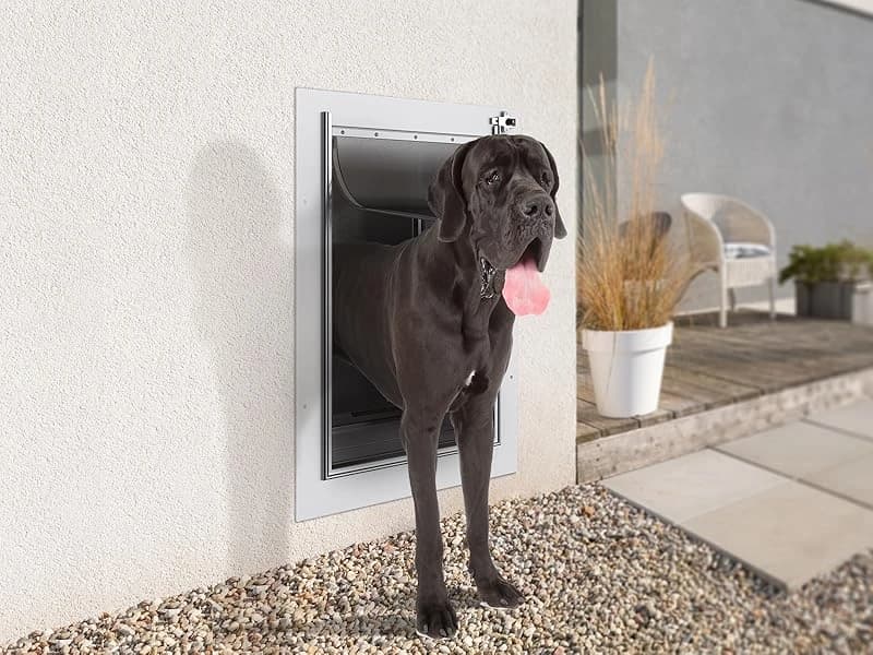 Pet Door for Wall,3-Flap — Steel Frame and Telescoping Tunnel — Product Introduction