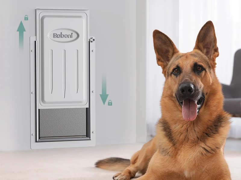 Pet Door for Wall,3-Flap — Steel Frame and Telescoping Tunnel — Product Introduction
