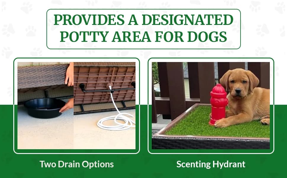 Standard Dog Grass Pad - Indoor Dog Potty with Artificial Grass and Self-Draining Tray - Reusable Dog Potty for โ product details