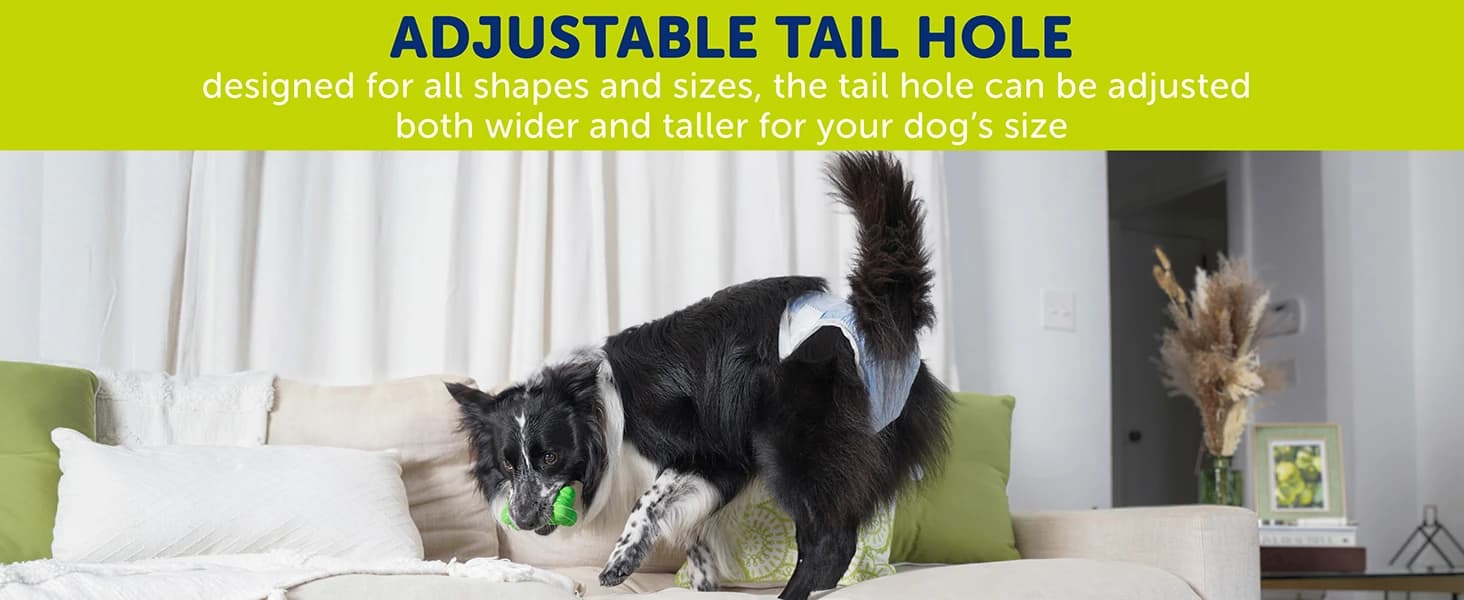 Disposable Dog Diapers — Size S 36 count — product details