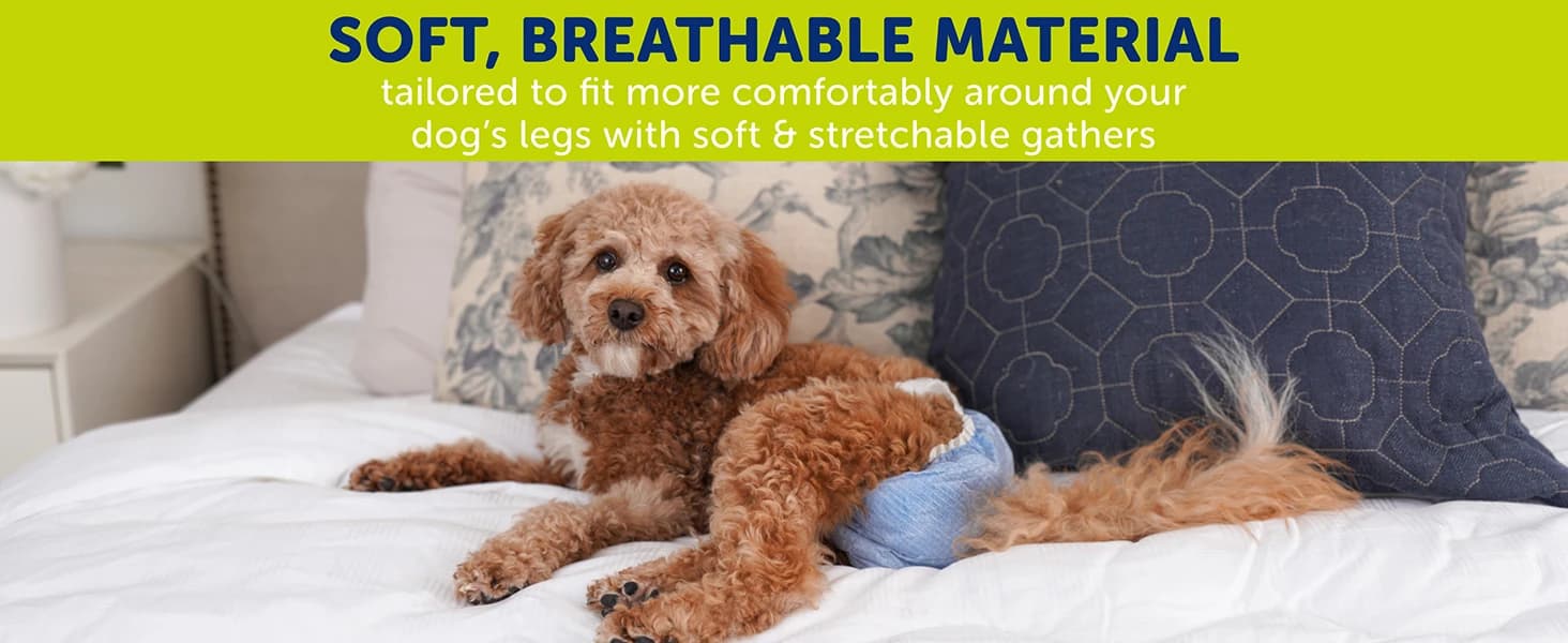 Disposable Dog Diapers — Size S 36 count — product details