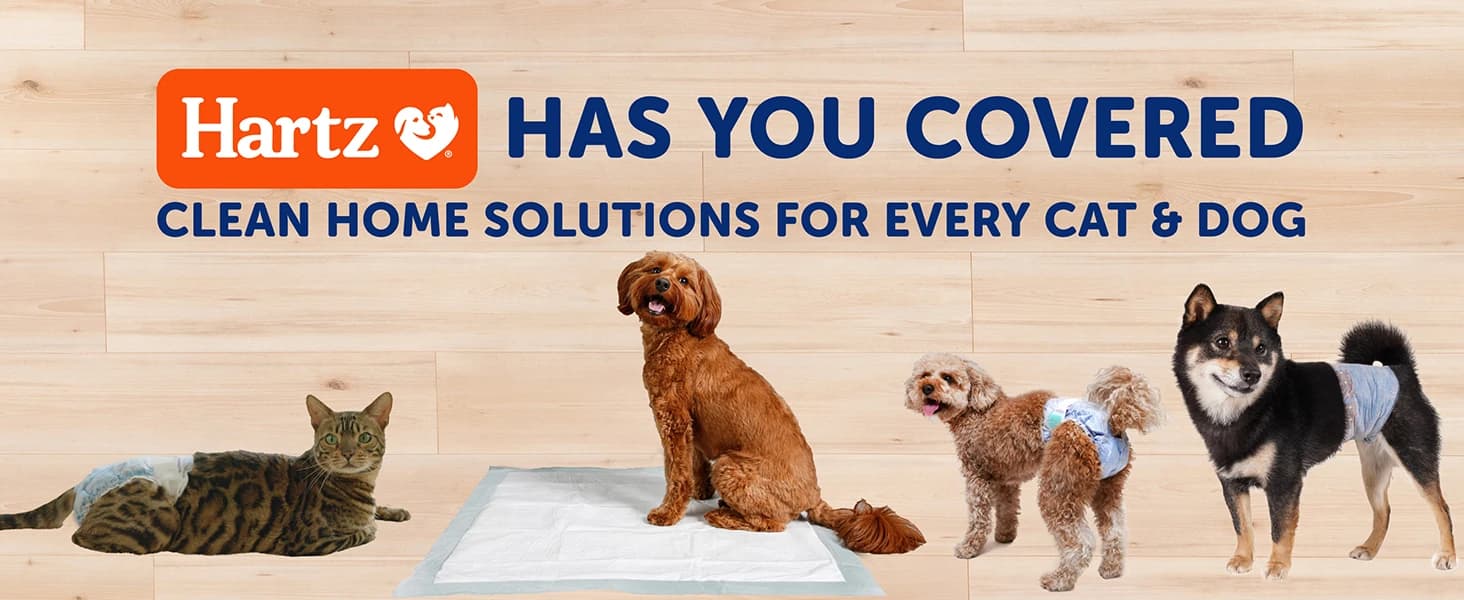 Disposable Dog Diapers — Size S 36 count — collection imagery