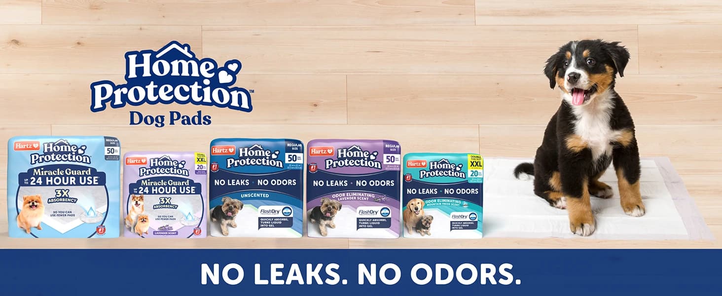Disposable Dog Diapers — Size S 36 count — collection imagery