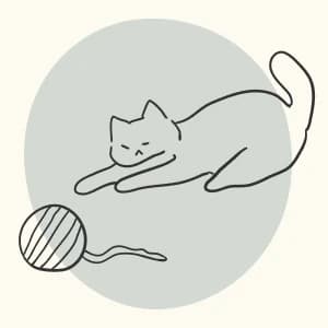 Cat Cave - Merino Wool Bed for Indoor Cats (Dark Gray — collection imagery