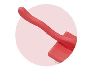 Big G Dog Slicker Brush for Dogs (Goldendoodles — Why groomers love the Big G