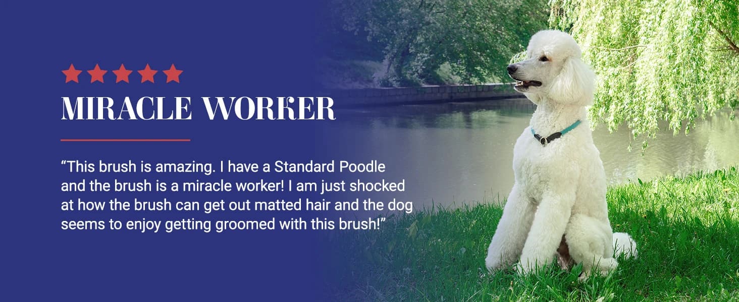 Big G Dog Slicker Brush for Dogs (Goldendoodles — product details