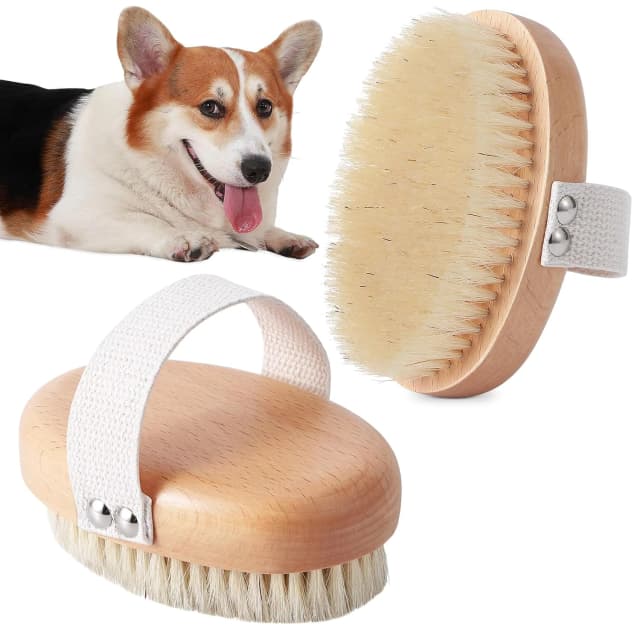 Soft Boar Bristle Pet Palm Brush for Short Haired Dogs and Cats with Band — Reduce Shedding
