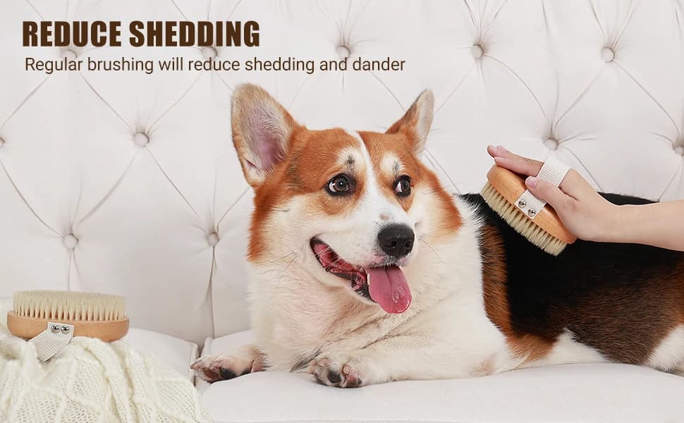 Soft Boar Bristle Pet Palm Brush for Short Haired Dogs and Cats with Band — Reduce Shedding — product details