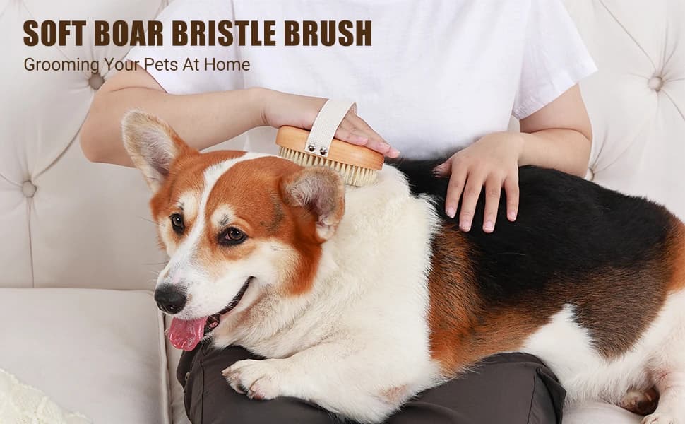 Soft Boar Bristle Pet Palm Brush for Short Haired Dogs and Cats with Band — Reduce Shedding — product details