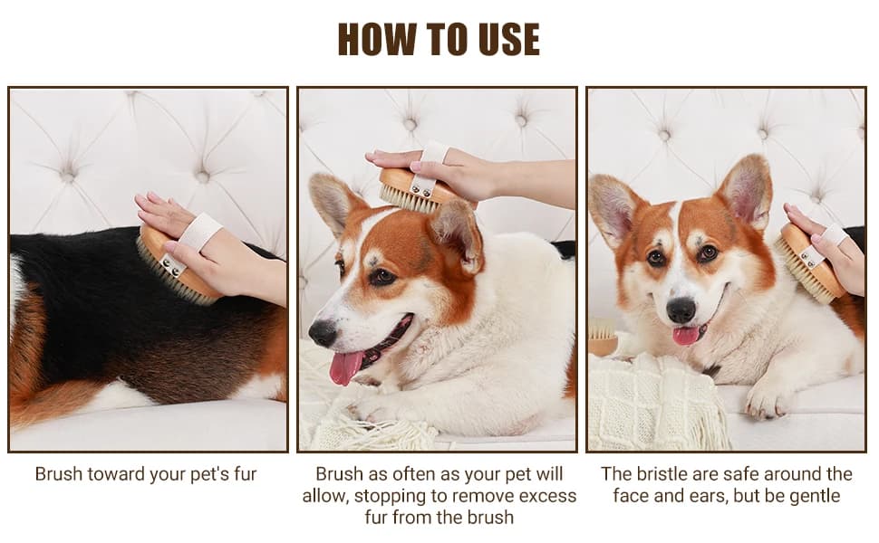 Soft Boar Bristle Pet Palm Brush for Short Haired Dogs and Cats with Band — Reduce Shedding — product details