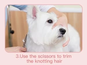 Dog and Cat Home Hair Waterproof Clipper Portable Pet Shaver — product details
