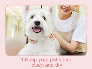 Dog and Cat Home Hair Waterproof Clipper Portable Pet Shaver — product details
