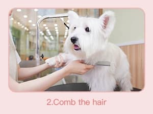 Dog and Cat Home Hair Waterproof Clipper Portable Pet Shaver — product details