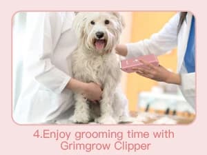 Dog and Cat Home Hair Waterproof Clipper Portable Pet Shaver — product details
