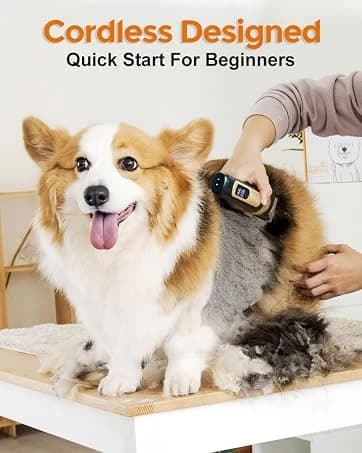 Dog Nail Grinder — 2-Speed and LED Light — collection imagery
