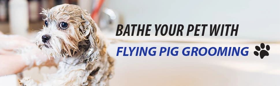 Flying Pig Pet Dog and Cat Portable Bath Tub (White — collection imagery