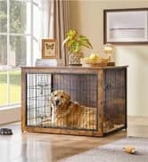 32 Inch Sturdy Dog Grooming Table for Home — collection imagery