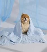 Waterproof Dog Blankets for Large Dogs Sherpa Fleece Throw — 40X50 — collection imagery