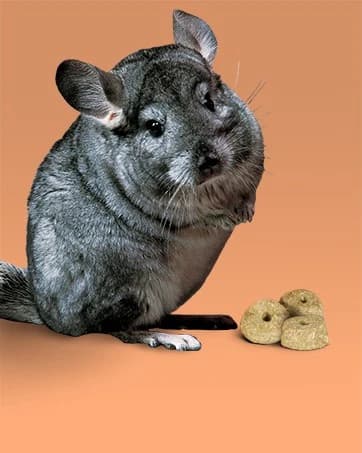 Small Animal Pine Bedding for Guinea Pigs — Rabbits — collection imagery