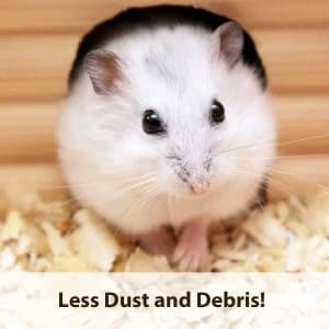 Small Animal Pine Bedding for Guinea Pigs — Rabbits — collection imagery
