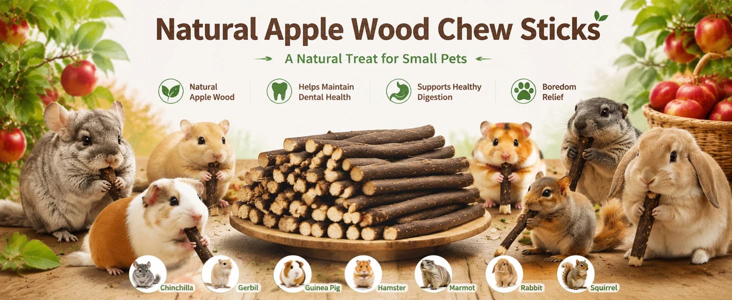 Natural Organic Apple Sticks - 250g Chew Sticks for Small Animals — product details