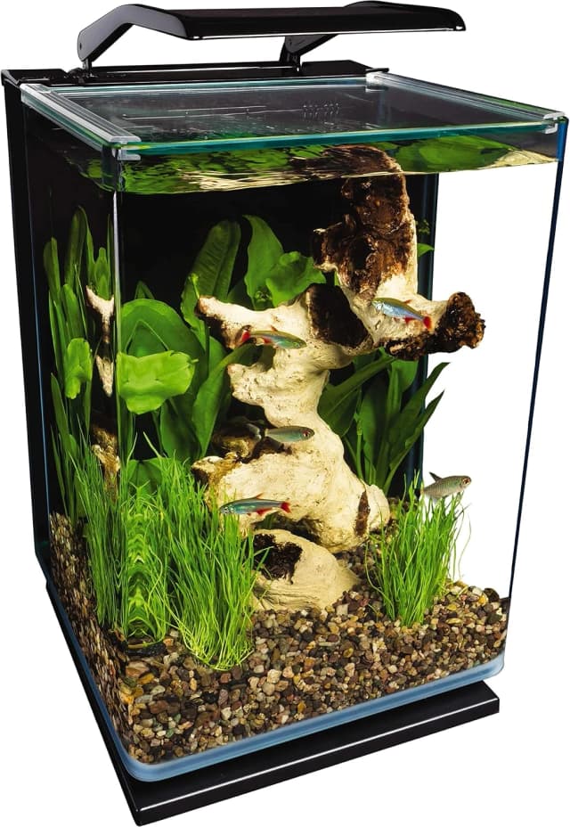 Portrait — 5 Gallon Fish Tank Kit
