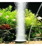 Horizon 8 Gallon LED Glass Aquarium Kit for Starters with 7W Power Filter Pump — collection imagery