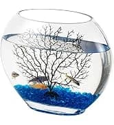 Horizon 8 Gallon LED Glass Aquarium Kit for Starters with 7W Power Filter Pump — collection imagery