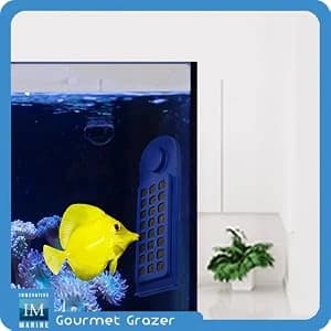Gourmet Gadget Defroster PRO — Adjustable Frozen Fish Food Feeder and Feeding Ring — collection imagery
