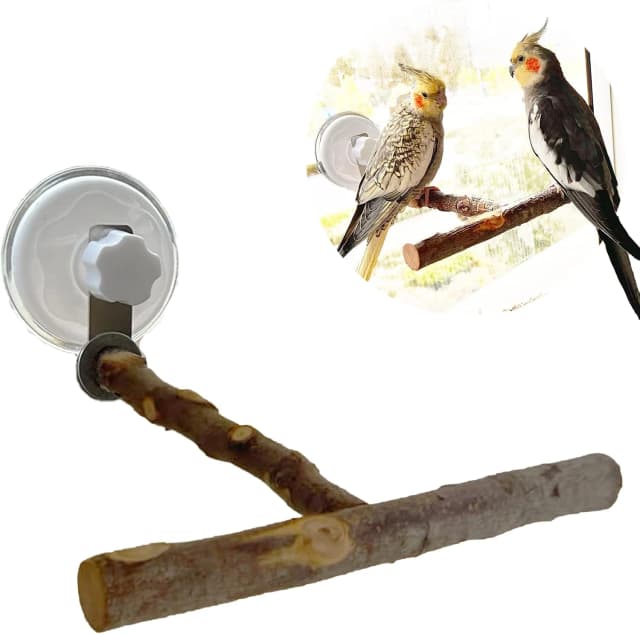 Portable Bird Perch Stand- T-Shaped Natural Apple Wood with Vacuum-Grip Suction Cup for Windows