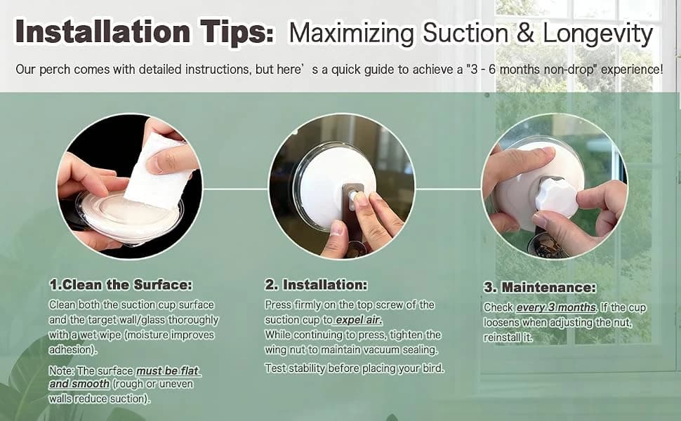 Portable Bird Perch Stand- T-Shaped Natural Apple Wood with Vacuum-Grip Suction Cup for Windows — product details