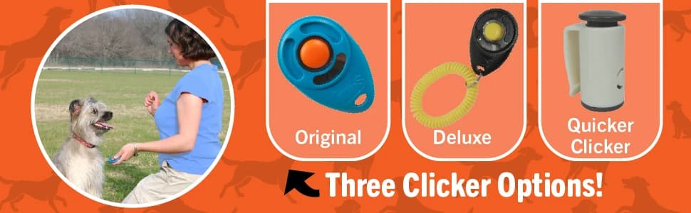 Pro-Training Clicker for Dogs — Reward-Based Pet Training — collection imagery
