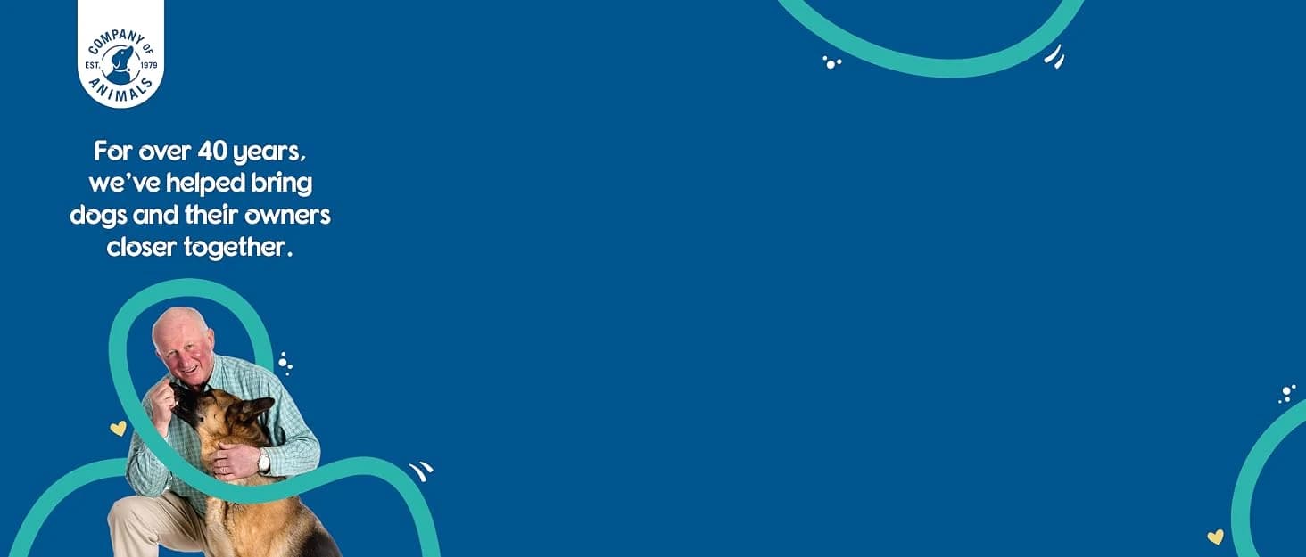 Whizzclick — Light Blue/Navy Button — collection imagery