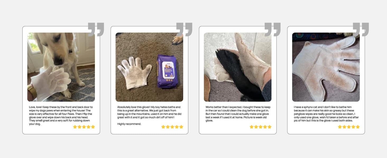 Dog Wipes for Dogs and Cats — Glove Design — collection imagery