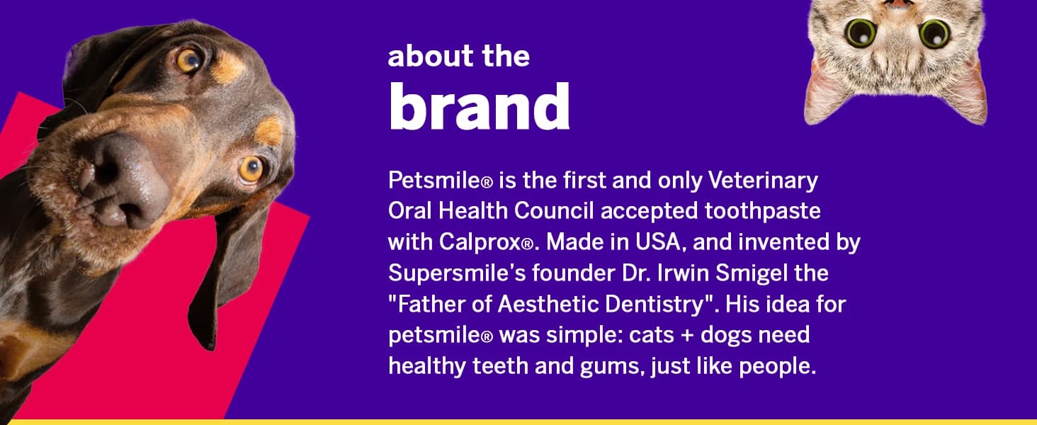 Professional Pet Toothbrush — 45° Cats + Dogs — product details
