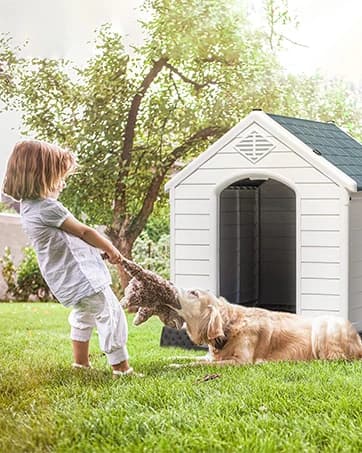 8x4x6FT Outdoor Dog Kennel for Large Dogs — collection imagery