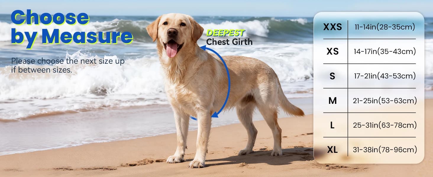 Dog Life Vest Rip Stop Dog Swim Vest — product details
