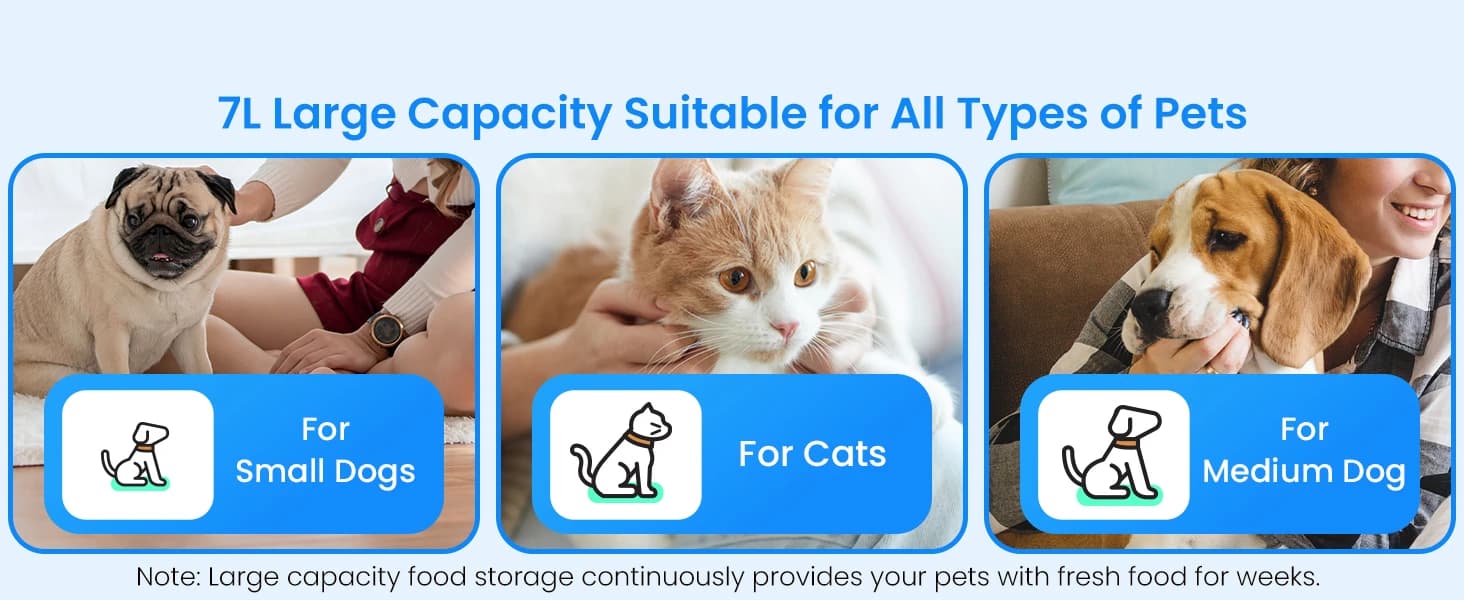 Automatic Cat Feeder with 2K Camera: 5G WiFi Automatic Dog Feeder with Night Vision — collection imagery