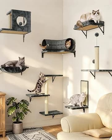 Cat Wall Shelves — 6 Pcs Luxury Wall-Mounted Cat Climber Set — collection imagery