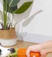 Dog Treat Pouch — Portable Puppy Dog Training Treat Bag — collection imagery
