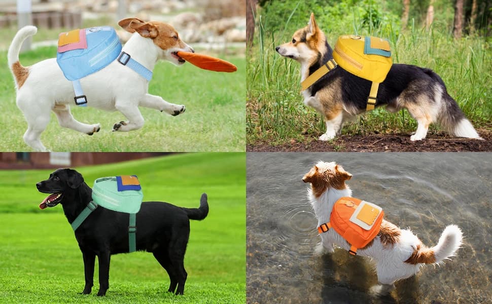 Dog Backpack for Small Dogs to Wear — product details