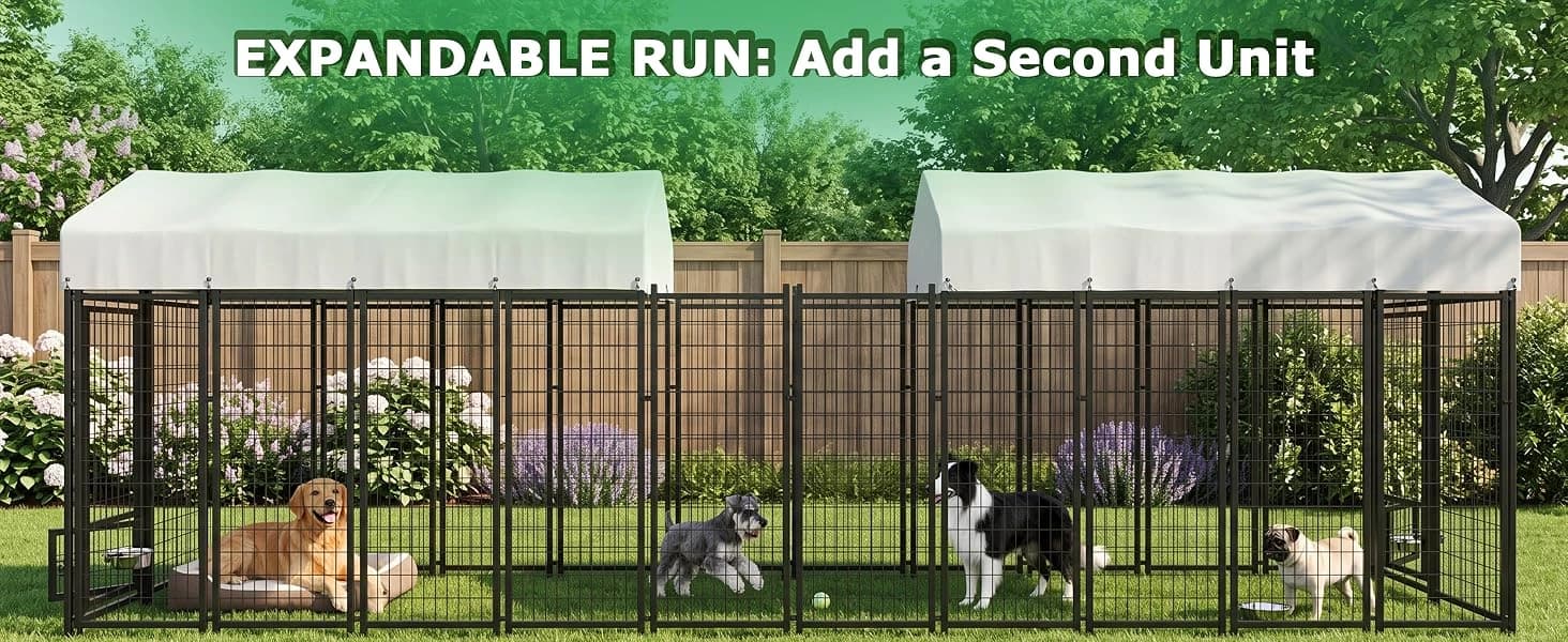 8x4x6FT Outdoor Dog Kennel for Large Dogs — product details