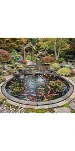 10x14 ft Pond Cover Dome Net with Frame for Outdoor Koi Leaves — product details