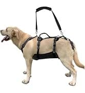 Dog Lift Harness, Pet Support and Rehabilitation Sling Lift Adjustable Padded Breathable Straps for Old — collection imagery