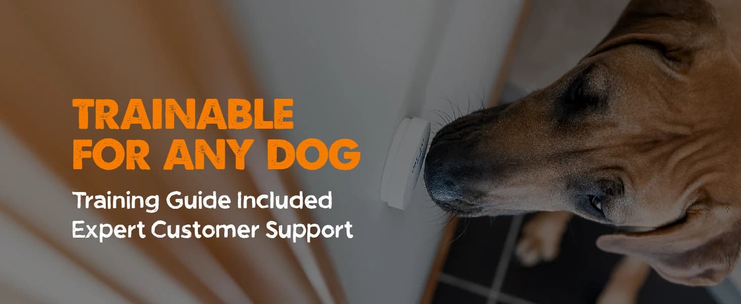 Smart Bell 2.0 Dog Door Bell for Potty Training Dogs and Puppies — collection imagery