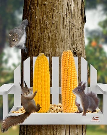 Squirrel-Proof Cedar Hopper Bird Feeder — collection imagery
