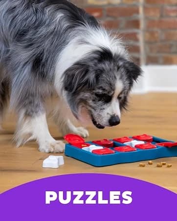 On-The-Go Travel Dog Bed — Portable Roll-Up Mat with Buckle — collection imagery