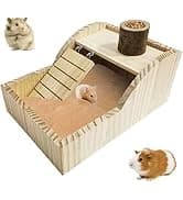 Turtle Basking Platform Baby Tortoise Climbing Ramp Shale Reptiles Dock Resting Terrace Stone Aquarium Ornament — collection imagery