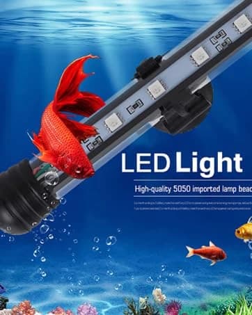 Reptile Terrarium Heat Pad with LCD Digital Aquarium Thermometer — collection imagery